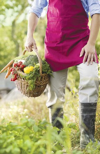 6 simple ways to greener living